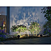 Paulmann Plug & Shine Vrtna LED spot svjetiljka Kikolo  (7,2 W, IP65, Topla bijela, Antracit, Kut svjetlosnog snopa: 60 °) | BAUHAUS