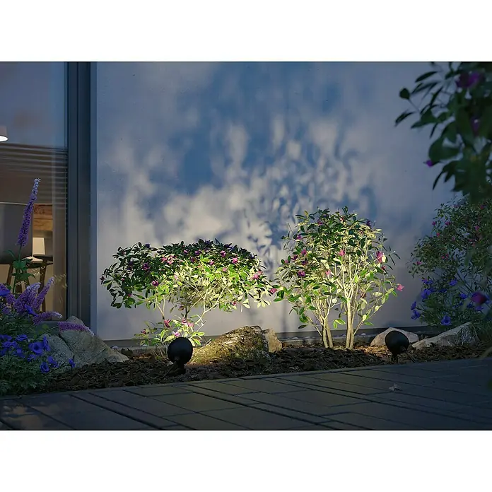 Paulmann Plug & Shine LED-Gartenspot Kikolo - 7,2 W, IP65, Warmweiß, Anthrazit, Abstrahlwinkel: 20 ° - Detailaufnahme von Gartenstrahlern, die Pflanzen und Fassade in einem Garten mit sanftem Licht in Szene setzen.