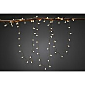 Paulmann Plug & Shine LED svjetlosni lanac  (Na otvorenom, Boja svjetla: Topla bijela, Broj žarulja: 72 Kom., Duljina: 7,5 m) | BAUHAUS