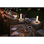 Paulmann Plug & Shine Vanjska LED svjetiljka Basket  (8 W, IP44, 20 x 60 cm) | BAUHAUS
