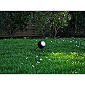 Paulmann Plug & Shine Foco LED de jardín Kikolo (6,2 W, IP65, Blanco cálido) | BAUHAUS