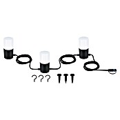 Paulmann Plug & Shine Guirnalda luminosa LED Tubs (Para exterior, Color de luz: Blanco cálido, Número de bombillas: 3 ud.) | BAUHAUS
