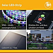 Paulmann LED-Band-Set Stripe Solar (10 m, RGB, 3,8 W, 300 lm, 5 V) | BAUHAUS