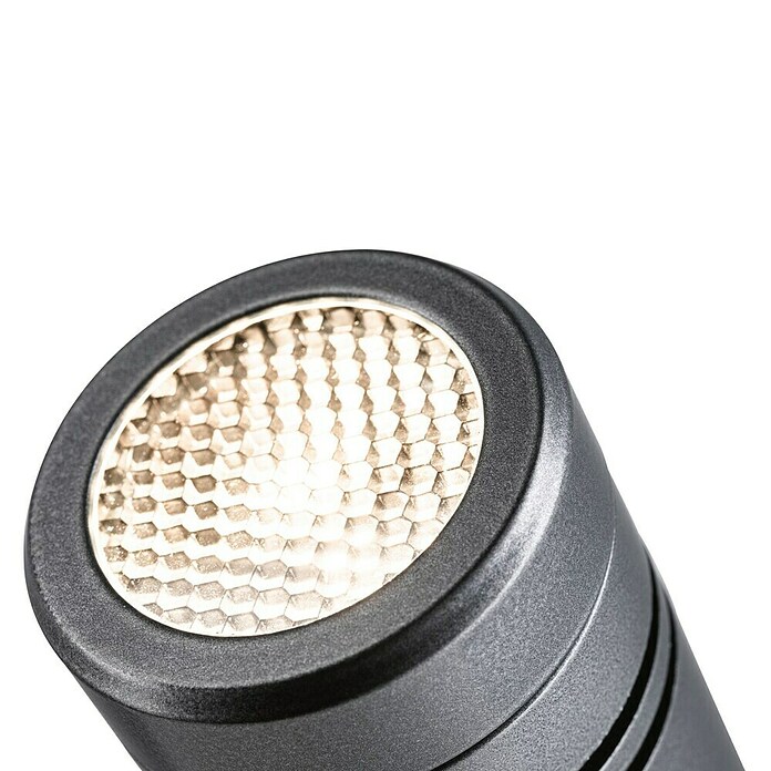 Paulmann Plug & Shine Vrtna LED spot svjetiljka Radon  (12,5 W, IP65, Topla bijela, Siva) | BAUHAUS
