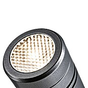 Paulmann Plug & Shine Vrtna LED spot svjetiljka Radon  (12,5 W, IP65, Topla bijela, Siva) | BAUHAUS
