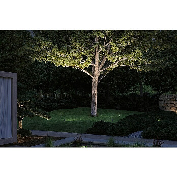 Paulmann Plug & Shine Vrtna LED spot svjetiljka Radon  (12,5 W, IP65, Topla bijela, Siva) | BAUHAUS