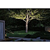 Paulmann Plug & Shine Vrtna LED spot svjetiljka Radon  (12,5 W, IP65, Topla bijela, Siva) | BAUHAUS