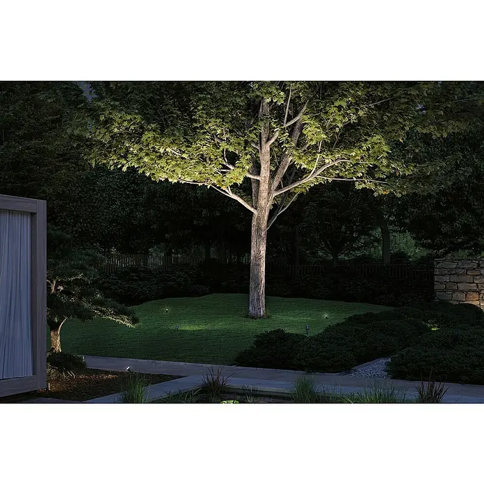 Paulmann Plug & Shine LED-Gartenspot Radon - 12,5 W, IP65, Warmweiß, Grau - Gartenszene bei Nacht mit Baum, der von Gartenstrahlern beleuchtet wird, die eine stimmungsvolle Atmosphäre schaffen.