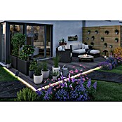 Paulmann Set de tiras LED solar (10 m, Blanco cálido, 3,8 W, 300 lm, 5 V) | BAUHAUS