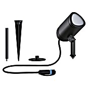 Paulmann Plug & Shine Vrtna LED spot svjetiljka  (6,5 W, IP65, RGBW, Antracit) | BAUHAUS
