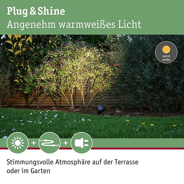 Paulmann Plug & Shine LED-Gartenspot Kikolo - 7,2 W, IP65, Warmweiß, Anthrazit, Abstrahlwinkel: 20 ° - Gartenstrahler beleuchtet einen Busch mit warmweißem Licht für stimmungsvolle Atmosphäre.