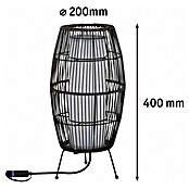 Paulmann Plug & Shine Vanjska LED svjetiljka Basket  (3,2 W, IP44) | BAUHAUS