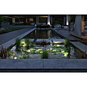 Paulmann Plug & Shine LED spot svjetiljka Pool  (6 W, Crna, 7,2 x 11 cm) | BAUHAUS