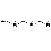 Paulmann Plug & Shine Guirnalda luminosa LED Tubs (Para exterior, Color de luz: Blanco cálido, Número de bombillas: 3 ud.) | BAUHAUS