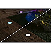 Paulmann Plug & Shine Ugradbena podna svjetiljka Floor  (2 W, Ø x V: 7 x 3 cm) | BAUHAUS