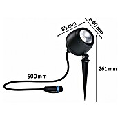 Paulmann Plug & Shine Vrtna LED spot svjetiljka Kikolo  (7,2 W, IP65, Topla bijela, Antracit, Kut svjetlosnog snopa: 60 °) | BAUHAUS