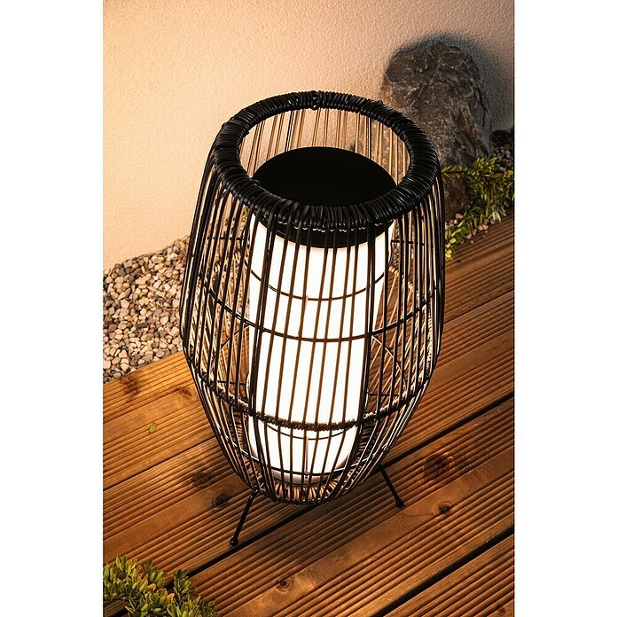 Paulmann Plug & Shine Vanjska LED svjetiljka Basket  (3,2 W, IP44) | BAUHAUS