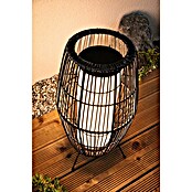 Paulmann Plug & Shine Vanjska LED svjetiljka Basket  (3,2 W, IP44) | BAUHAUS