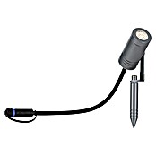 Paulmann Plug & Shine Vrtna LED spot svjetiljka Radix  (7 W, IP65, Topla bijela, Siva) | BAUHAUS
