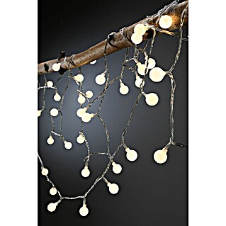 Paulmann Plug & Shine Guirnalda luminosa LED (Para exterior, Color de luz: Blanco cálido, Número de bombillas: 72 ud., Largo: 7,5 m)