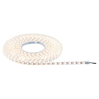 Paulmann Set LED traka Stripe Solar (10 m, Topla bijela, 3,8 W, 300 lm, 5 V)