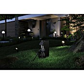 Paulmann Plug & Shine Ugradbeno podizna utičnica Rio  (Visina: 23 cm, IP44, Bez senzora za sumrak) | BAUHAUS