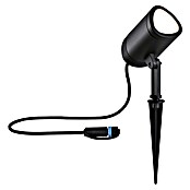 Paulmann Plug & Shine Vrtna LED spot svjetiljka  (6,5 W, IP65, RGBW, Antracit) | BAUHAUS