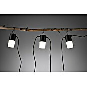 Paulmann Plug & Shine Guirnalda luminosa LED Tubs (Para exterior, Color de luz: Blanco cálido, Número de bombillas: 3 ud.) | BAUHAUS