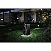Paulmann Plug & Shine Ugradbeno podizna utičnica Rio  (Visina: 23 cm, IP44, Ugrađen senzor sumraka) | BAUHAUS