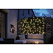Paulmann Plug & Shine LED svjetlosni lanac  (Na otvorenom, Boja svjetla: Topla bijela, Broj žarulja: 72 Kom., Duljina: 7,5 m) | BAUHAUS
