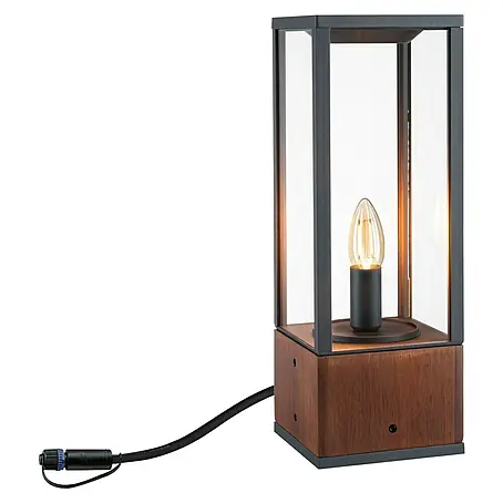 Paulmann Plug & Shine LED-Außenleuchte Venea