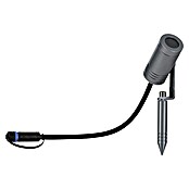 Paulmann Plug & Shine Vrtna LED spot svjetiljka Radix  (7 W, IP65, Topla bijela, Siva) | BAUHAUS