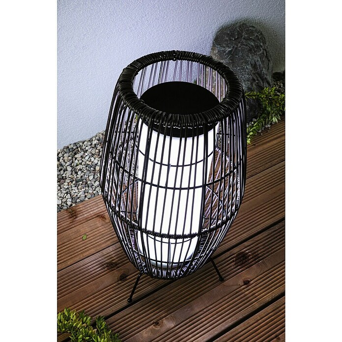 Paulmann Plug & Shine Vanjska LED svjetiljka Basket  (3,2 W, IP44) | BAUHAUS
