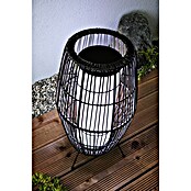 Paulmann Plug & Shine Vanjska LED svjetiljka Basket  (3,2 W, IP44) | BAUHAUS