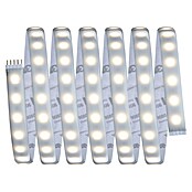 Paulmann MaxLED 1.000 LED traka Stripe  (250 cm, RGBW, 28 W, 2.500 lm, 230 V - 240 V) | BAUHAUS