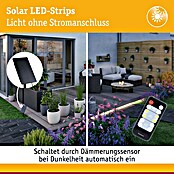 Paulmann LED-Band-Set Stripe Solar (10 m, Warmweiß, 3,8 W, 300 lm, 5 V) | BAUHAUS