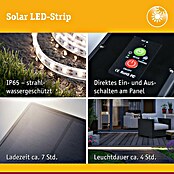 Paulmann LED-Band-Set Stripe Solar (10 m, Warmweiß, 3,8 W, 300 lm, 5 V) | BAUHAUS