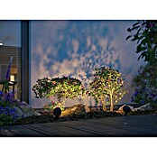 Paulmann Plug & Shine Foco LED de jardín Kikolo (6,2 W, IP65, Blanco cálido) | BAUHAUS