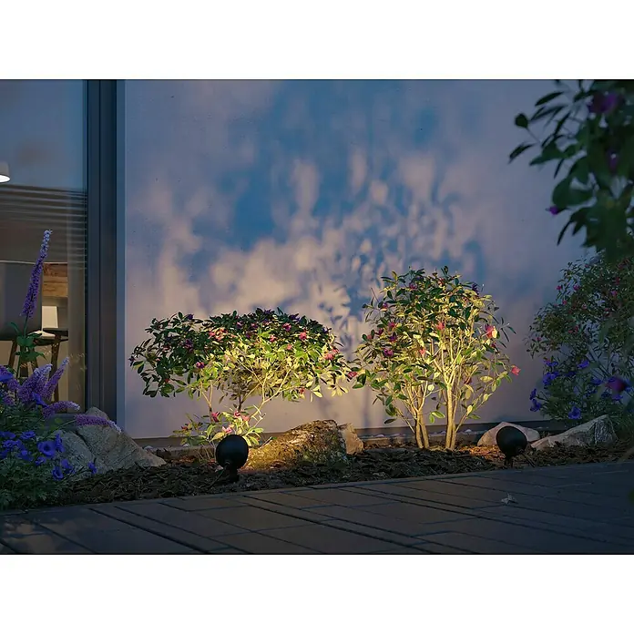 Paulmann Plug & Shine LED-Gartenspot Kikolo - 6,2 W, IP65, Warmweiß, Anthrazit - Gartenbeleuchtung, die Sträucher und Blumen hervorhebt, schafft eine magische Atmosphäre.