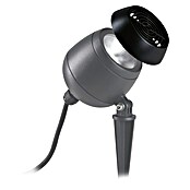 Paulmann Plug & Shine Dodatak protiv odsjaja Kikolo Grid  (8,3 x 2,15 cm, Antracit) | BAUHAUS