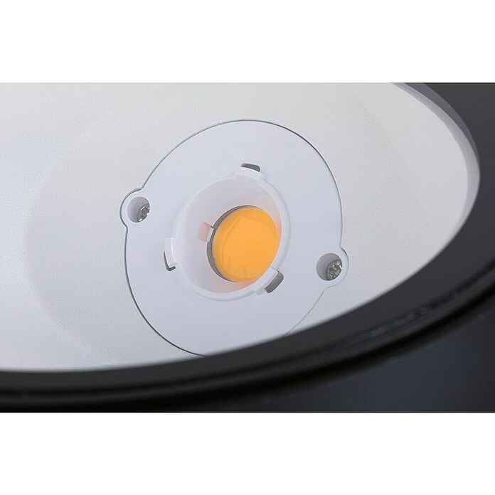 Paulmann Plug & Shine Ugradbena podna svjetiljka Ocos  (Antracit, Ø x V: 15,5 x 13 cm) | BAUHAUS