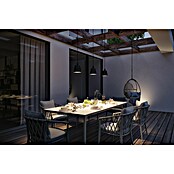 Paulmann Plug & Shine Lámpara solar colgante Kofia (2 W, Gris, Altura: 514 cm) | BAUHAUS