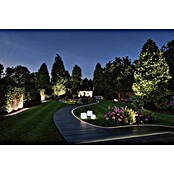 Paulmann Plug & Shine LED traka Smooth Strip  (Duljina: 5 m, RGBW, 700 lm, 24 V) | BAUHAUS