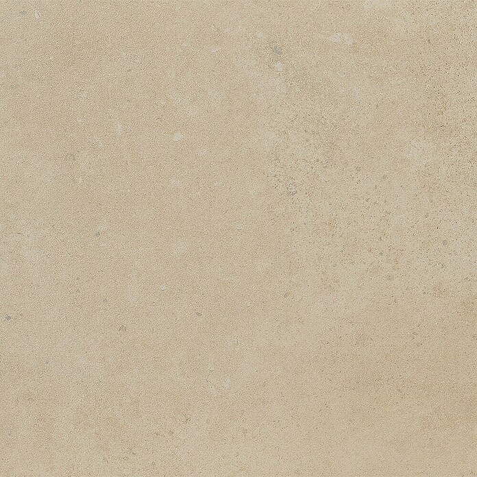 Art-Tec by Palazzo Feinsteinzeugfliese (30 x 60 cm, Creme, Matt)