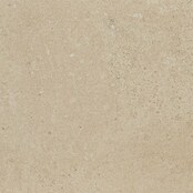 Art-Tec by Palazzo Feinsteinzeugfliese (30 x 60 cm, Creme, Matt)