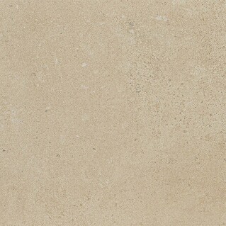 Art-Tec by Palazzo Feinsteinzeugfliese (30 x 60 cm, Creme, Matt)