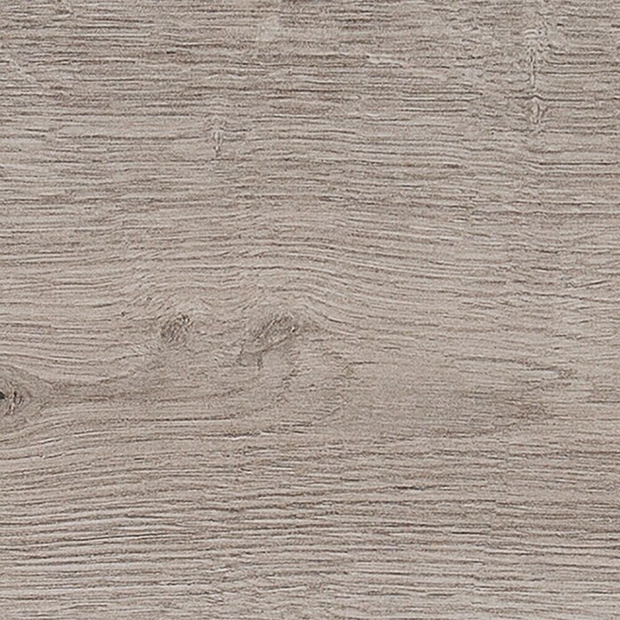 Harmonie by Palazzo Feinsteinzeugfliese (20 x 120 cm, Ash, Glasiert)