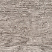 Harmonie by Palazzo Feinsteinzeugfliese (20 x 120 cm, Ash, Glasiert)