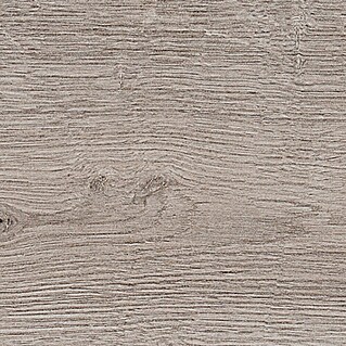 Harmonie by Palazzo Feinsteinzeugfliese (20 x 120 cm, Ash, Matt)