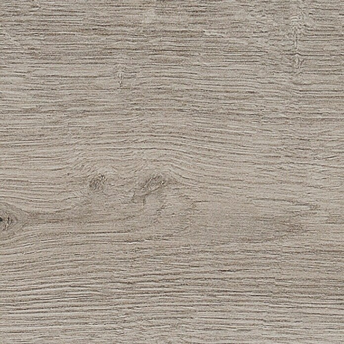 Harmonie by Palazzo Feinsteinzeugfliese (20 x 120 cm, Ash, Glasiert)